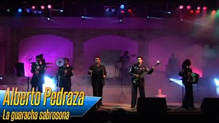 Alberto Pedraza  La guaracha sabrosona [upl. by Eelatan]