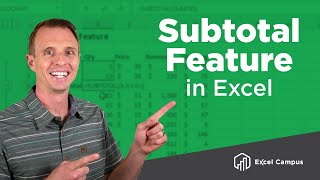 How To Use The Subtotal Feature And Subtotal Function In Excel [upl. by Nottnerb21]