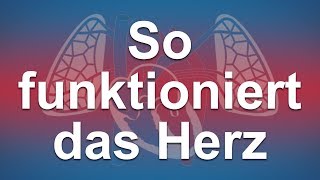 Wie funktioniert das gesunde Herz [upl. by Anatnas]