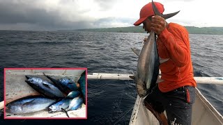 AMAZING Tuna Traditional Handline Fishing in Mindoro Philippines [upl. by Marsha]