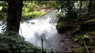 Explorando Rio Celeste en Costa Rica [upl. by Trofmoc]