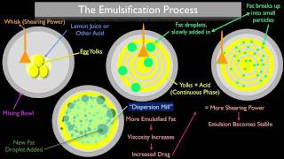 The Emulsification Process [upl. by Maram]