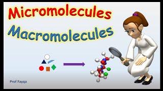 Micromolecules And Macromolecules Updated [upl. by Vasileior]