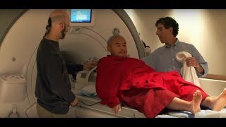 Meditations Impact on the Brain  Documentary Clip [upl. by Etnom205]