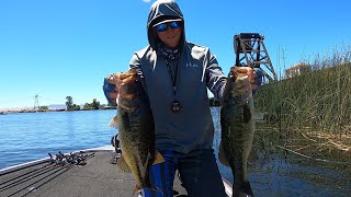 This Simple Trick will help you learn where the big bass live on the Delta Watch until the End [upl. by Base]