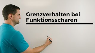 Grenzverhalten bei Funktionsscharen Parameterfunktionen Fallunterscheidung  Mathe by Daniel Jung [upl. by Ahsiaa]