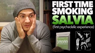 Salvia Trip Report quotMy First Psychedelicquot [upl. by Legna]