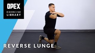 Reverse Lunge  OPEX Exercise Library [upl. by Turrell753]