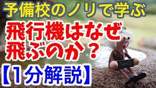 【1分解説】飛行機はなぜ飛ぶのか？【物理雑学】 [upl. by Ardle591]