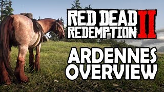 Ardennes Overview  Red Dead Redemption 2 Horses [upl. by Enyrat]