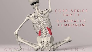 Core Series Part 1 Quadratus Lumborum 3D Animation [upl. by Eded]