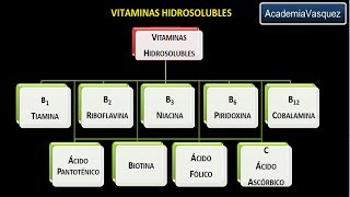 Vitaminas hidrosolubles Vitamina B2 o Riboflavina [upl. by Torbart]