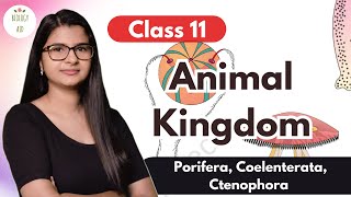 Class 11  Animal Kingdom Part 1 [upl. by Lillith595]