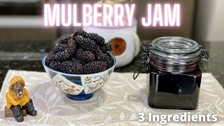 Mulberry Jam Recipe 3 Ingredients  No pectin [upl. by Ltney751]