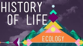 The History of Life on Earth  Crash Course Ecology 1 [upl. by Dachy]