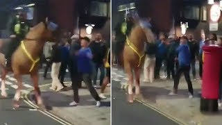 Football fan throws punch at police horse [upl. by Lissak441]