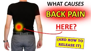 What Causes Lumbar Flank Pain And how to release it [upl. by Lachus]