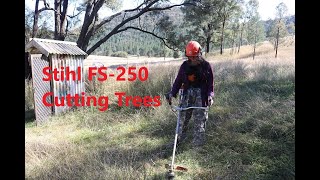 Stihl FS250 brush cutter [upl. by Oremodlab]