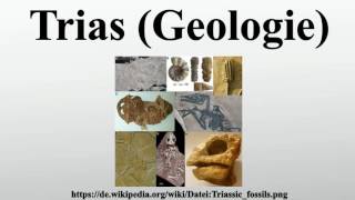 Trias Geologie [upl. by Bijan]