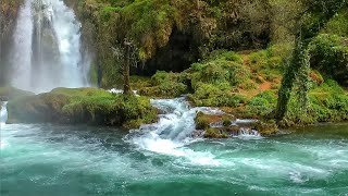 Música Relajante para Descansar la MenteEstrés Ansiedad Relajarse y Dormir [upl. by Selina70]