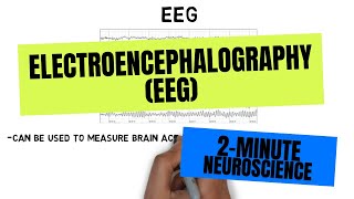 2Minute Neuroscience Electroencephalography EEG [upl. by Mayrim]