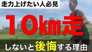 【秋のシーズンイン】10㎞のレースの攻略法はこれ！ [upl. by Downall]