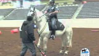 Lexington KY Mounted Police Procedures [upl. by Xilef]