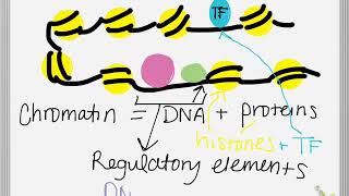 DNaseseq [upl. by Roots]