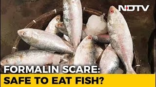 Formalin Scare Safe To Eat Fish [upl. by Mcnamee108]