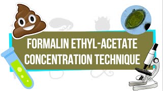 Formalinethyl acetate fecal sedimentation methodFull details [upl. by Arama568]