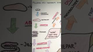 Farmakokinetik  pillens vej igennem systemet  Farmakologi [upl. by Ahdar]