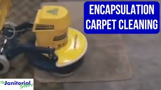 Encapsulation Carpet Cleaning [upl. by Ennayelsel]