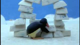 Pingu Pingu builds an Igloo [upl. by Clotilda]