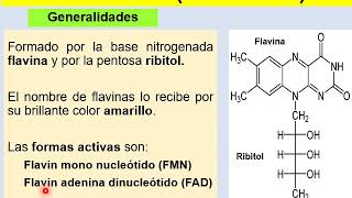 BROMATOLOGIA Vitaminas Hidrosolubles  Tiamina B1 y Biboflavina B2 [upl. by Haidabo]