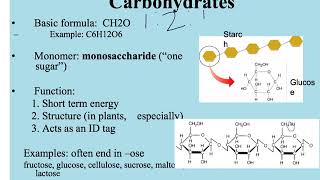 Macromolecules [upl. by Olivier]