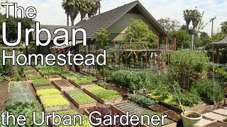 Dervaes Family Farm  The Urban Homestead  Episode 94 [upl. by Reg]