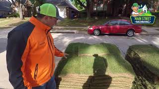 How To Install Zoysia Grass in Dallas [upl. by Ynafets321]