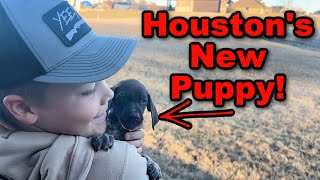 Houstons New PUPPY [upl. by Chelsea]