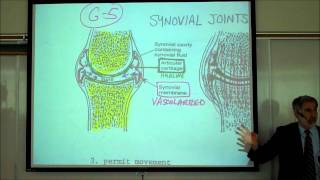 ARTHROLOGY THE JOINTS OF THE BODY PART 1 by Professor Fink [upl. by Ginelle179]