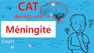 Méningite🙄 cest quoi la CAT 🤔  Cours  Infectiologie [upl. by Ruhl315]