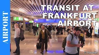 TRANSIT WALK AT FRANKFURT Airport FRA Terminal 1  Connection Flight Transfer Arriving amp Departing [upl. by Moyna129]