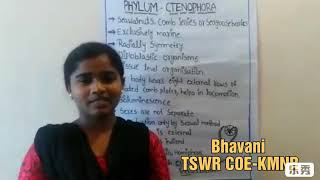 Phylum  Ctenophora explained by Bhavani I BPC [upl. by Tomkiel84]