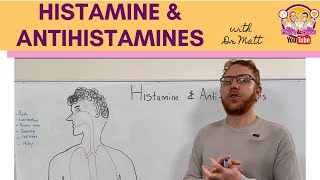 Histamine and Antihistamines Meds [upl. by Frasier282]