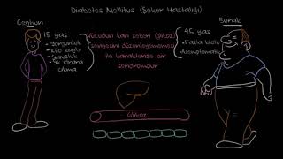 Diyabet Şeker Hastalığı Nedir Fen Bilimleri Sağlık ve Tıp [upl. by Reinaldos]