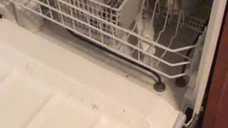 Hotpoint dishwasher how to start  guide [upl. by Anilegna]