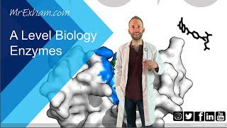 Enzymes Part 2  Inhibition  A Level Biology [upl. by Selry]