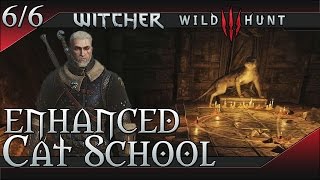 The WItcher 3 Wild Hunt Enhanced Cat Feline School Gear Set [upl. by Franklin878]