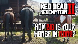 Red Dead Redemption 2 Horses  Size Comparison [upl. by Ehctav]