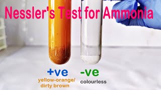 Nesslers Test Practical Experiment [upl. by Eciram]