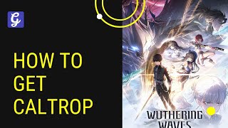 How to Get Caltrop  Wuthering Waves [upl. by Nyvrem430]